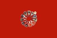 崇义回收红酒